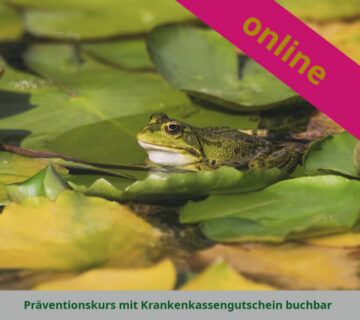 Erproben Sie über 8 Wochen die progressive Muskelrelaxation und erlernen Sie praktische Techniken für tiefe Entspannung kennen.